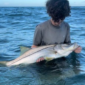 Meet your Posher, Blake